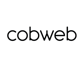 Cobweb PNG Clipart