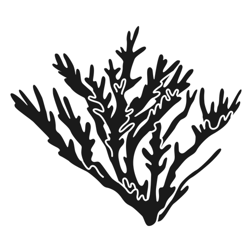 Coral Reef PNG Clipart