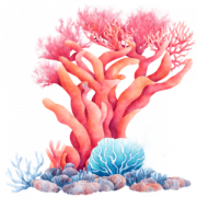 Coral Reef PNG Images