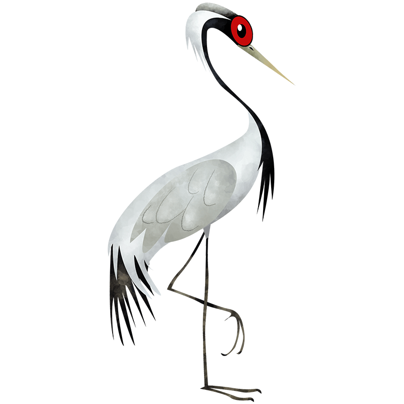 Crane PNG Pic