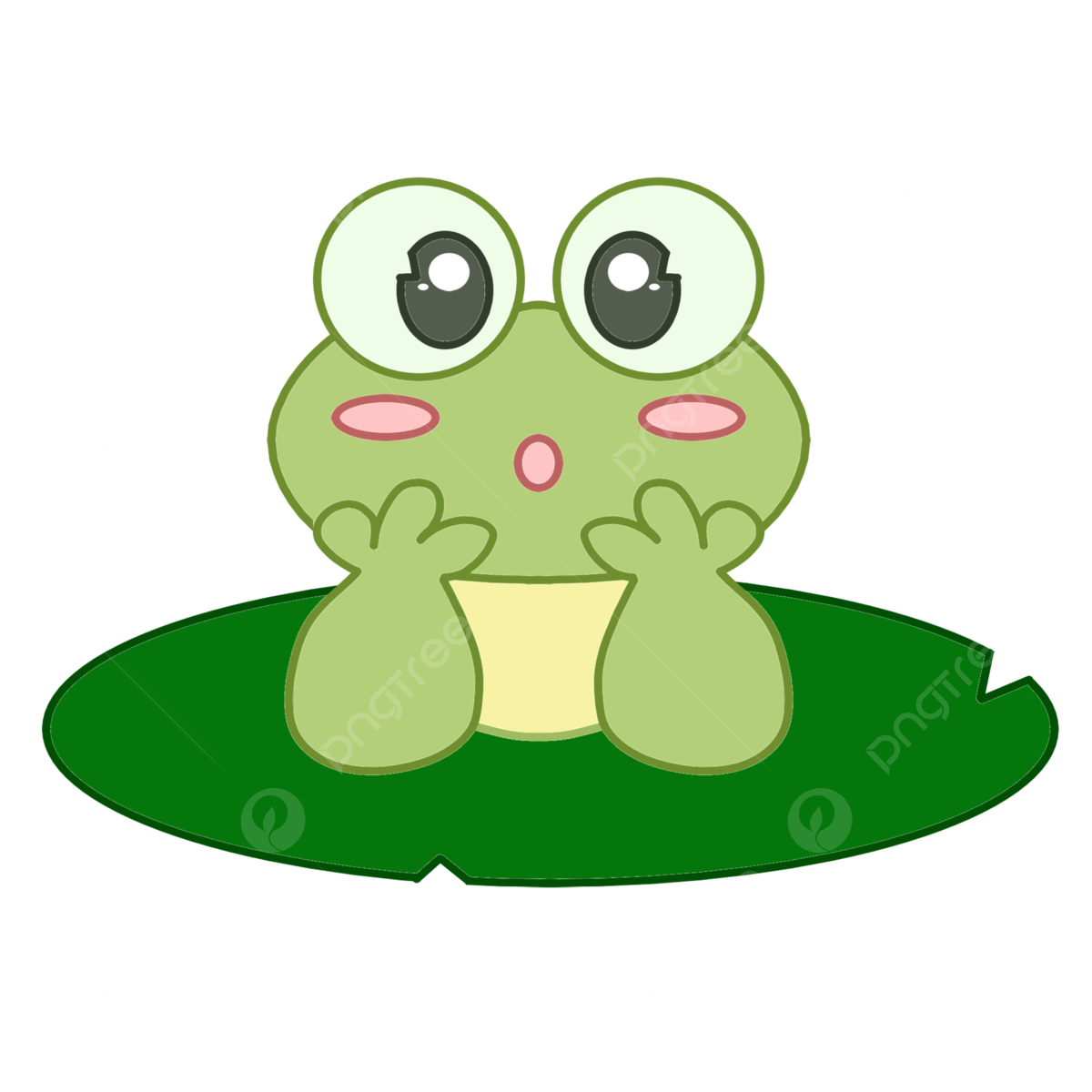 Cute Frog Transparent