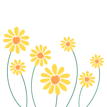 Daisies Background PNG