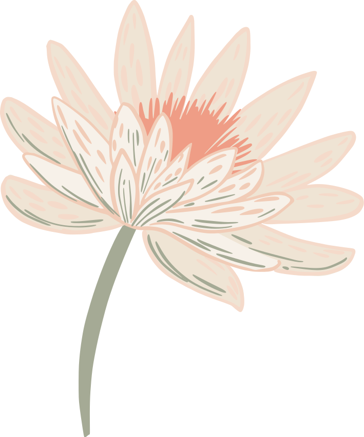 Daisy Flower PNG Images HD