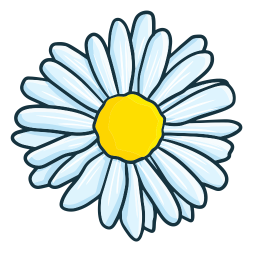 Daisy Flower Transparent