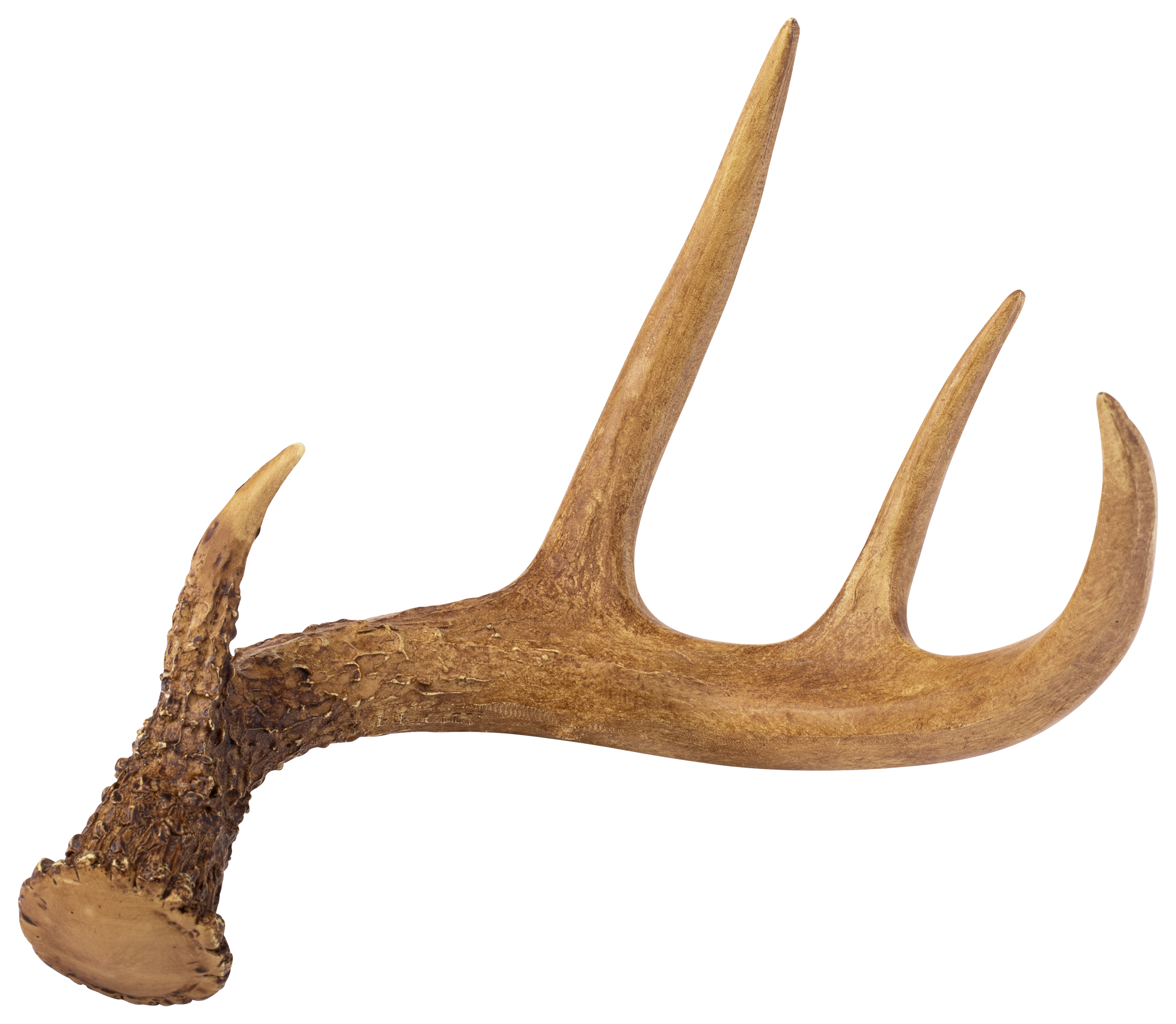 Deer Antlers PNG Image File