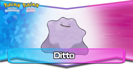 Ditto PNG Background