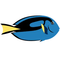 Dory PNG Images HD