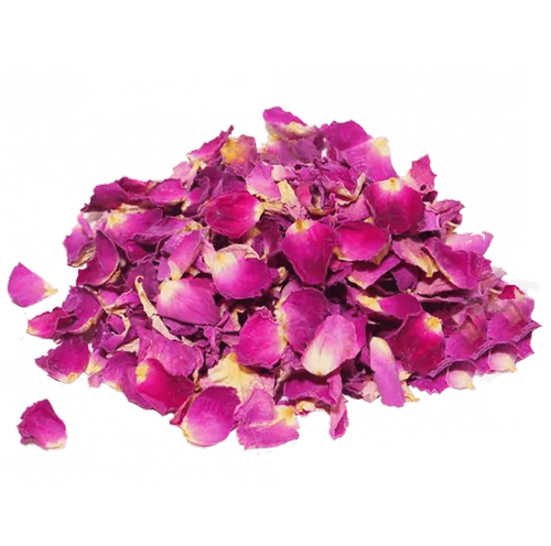Dry Flower Background PNG