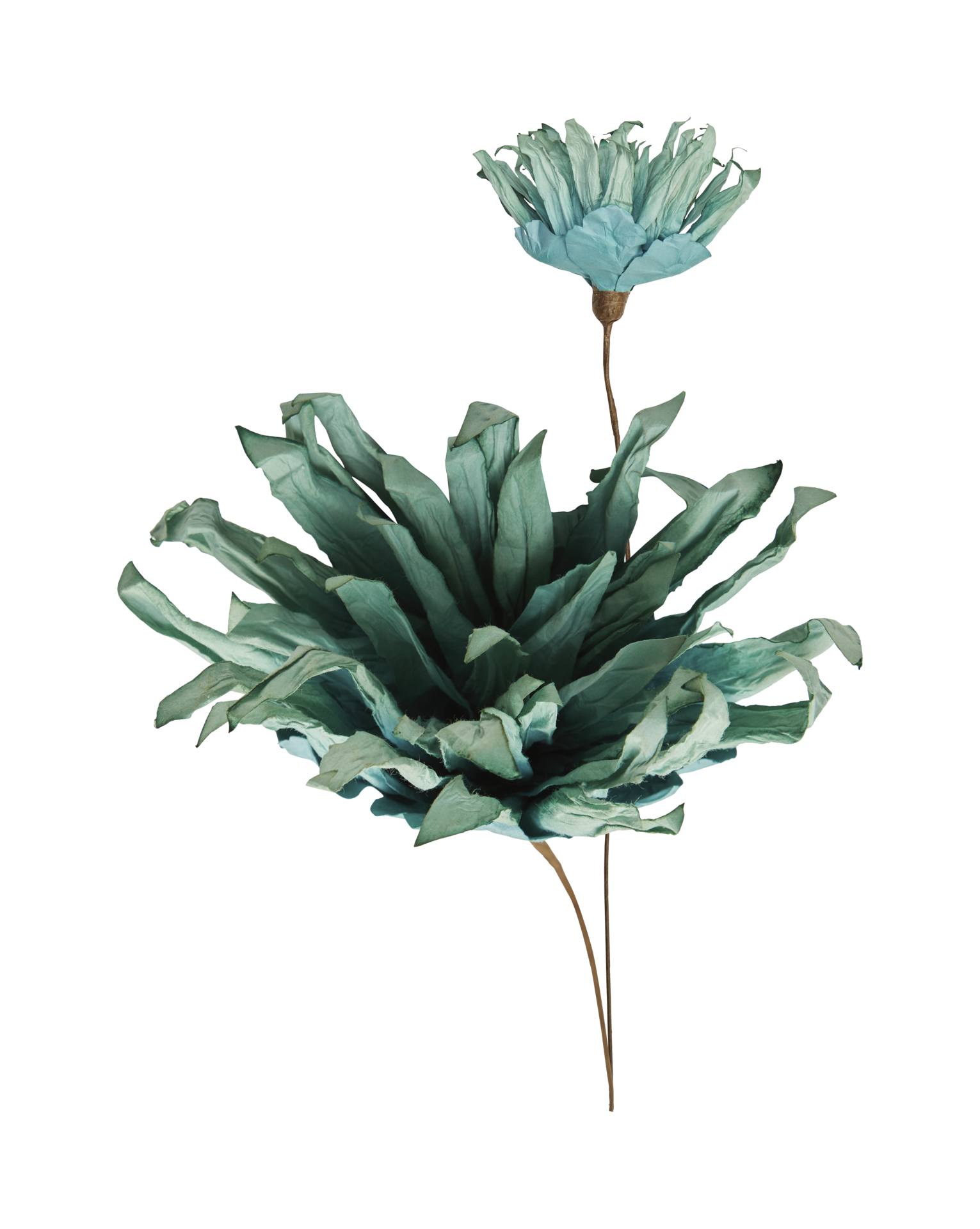 Dry Flower PNG File