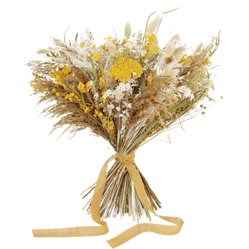 Dry Flower PNG Free Image