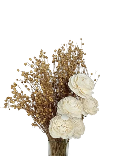 Dry Flower PNG Image File