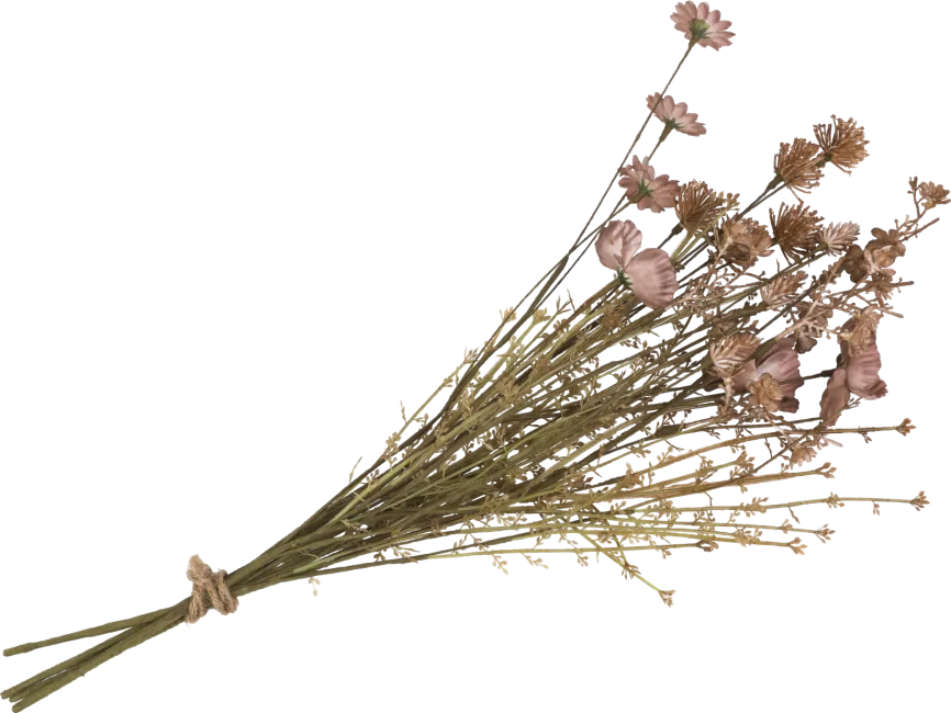 Dry Flower PNG Image
