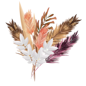 Dry Flower PNG Images HD