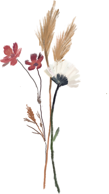 Dry Flower PNG