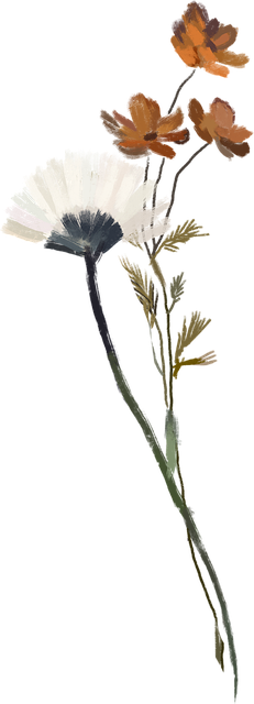 Dry Flower