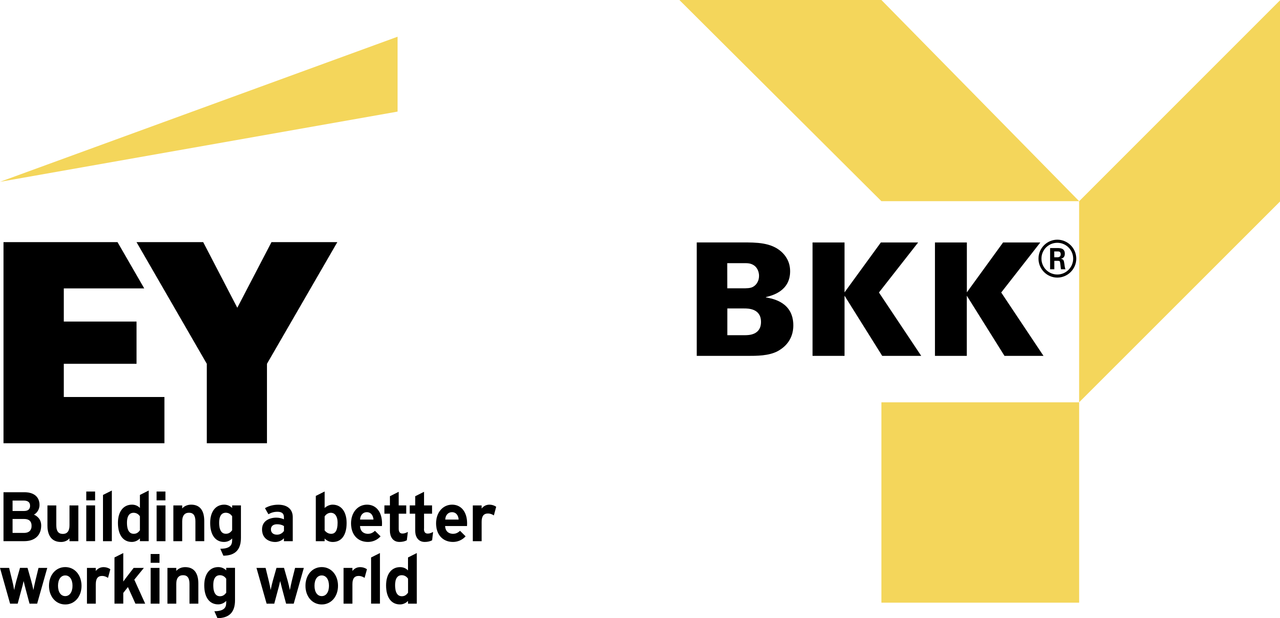 EY Logo PNG Free Image