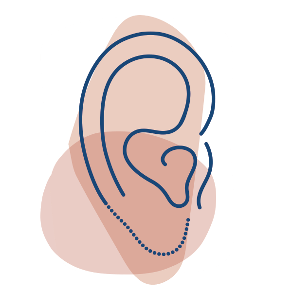 Ears PNG Image