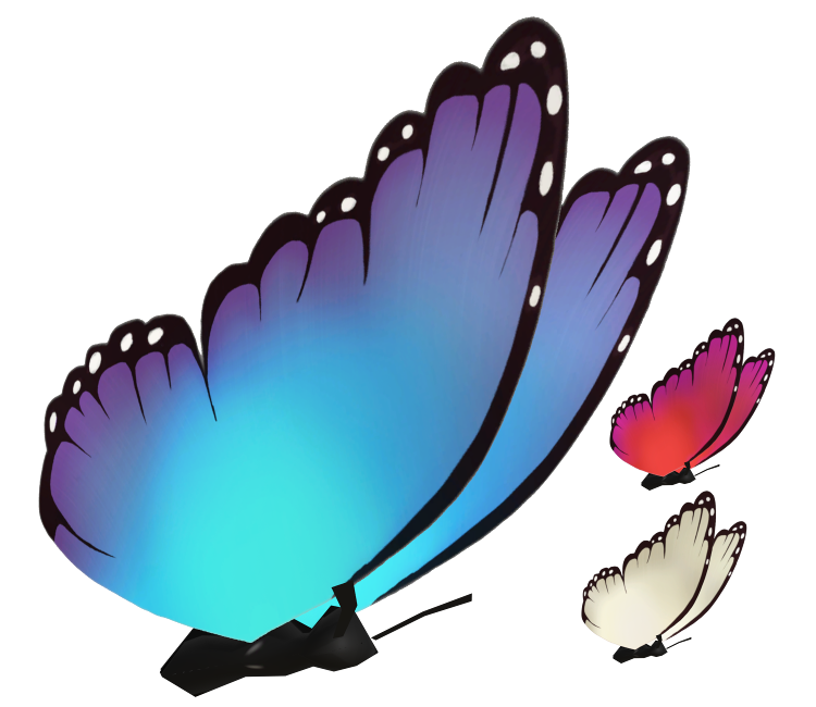 Encanto Butterfly No Background