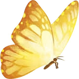 Encanto Butterfly PNG Cutout