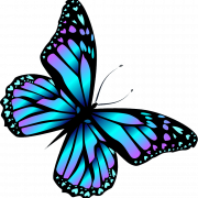 Encanto Butterfly PNG Pic