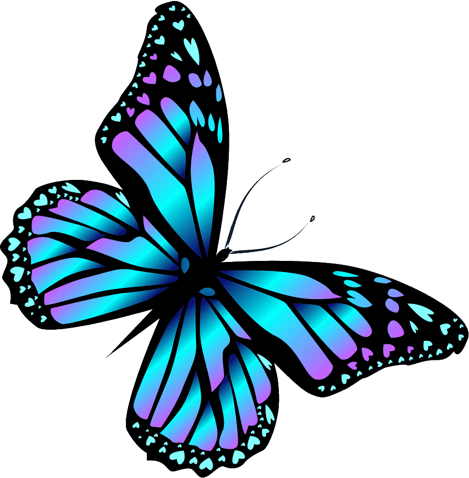 Encanto Butterfly PNG Pic