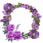 Encanto Flowers Background PNG