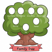 Family Tree Background PNG