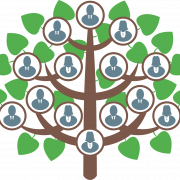 Family Tree PNG HD Image