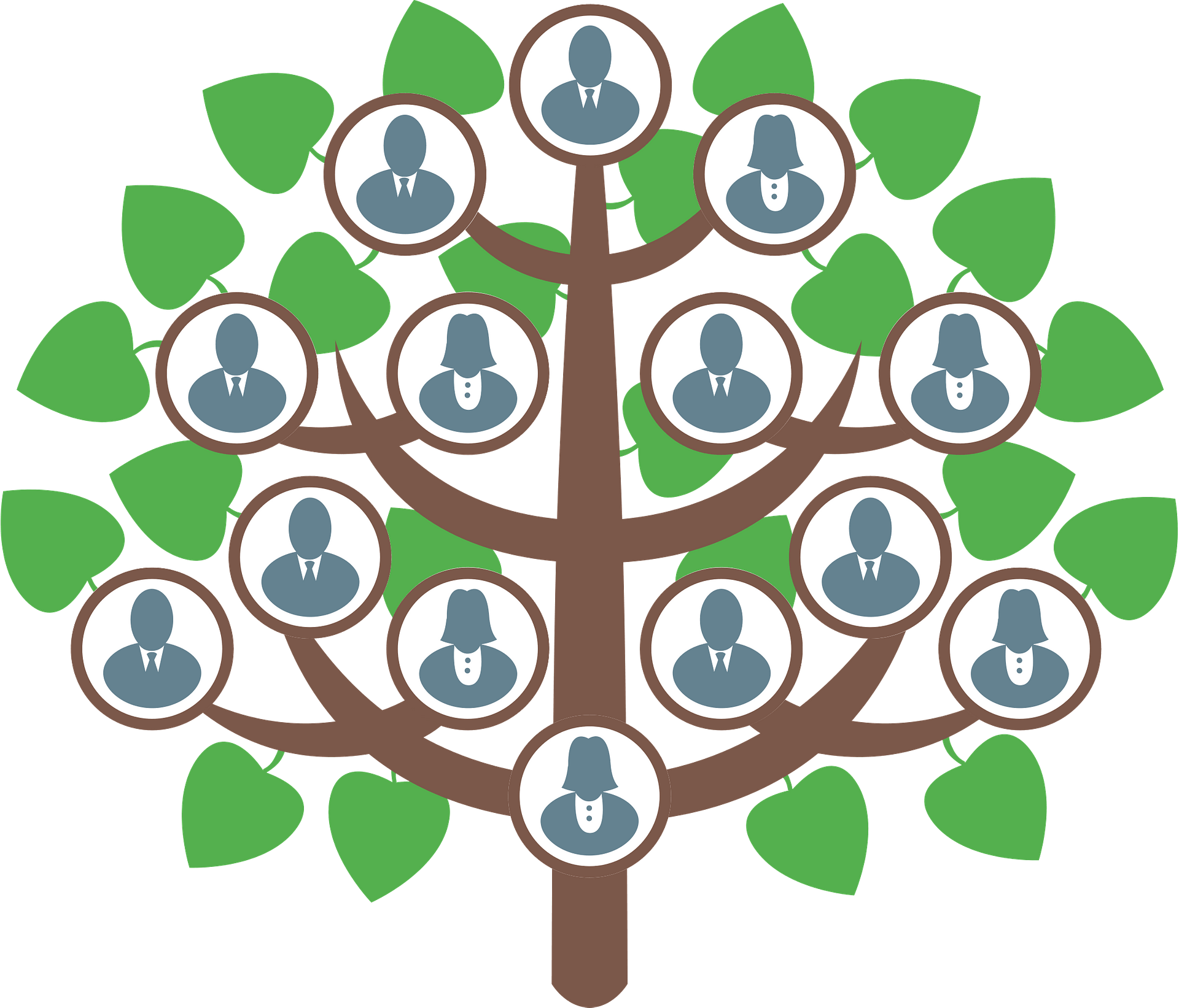 Family Tree PNG HD Image