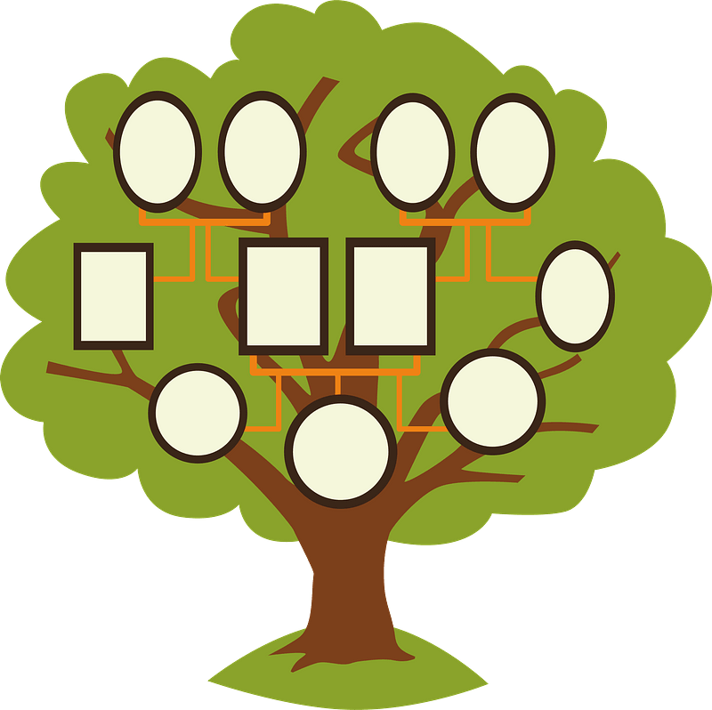 Family Tree PNG Images