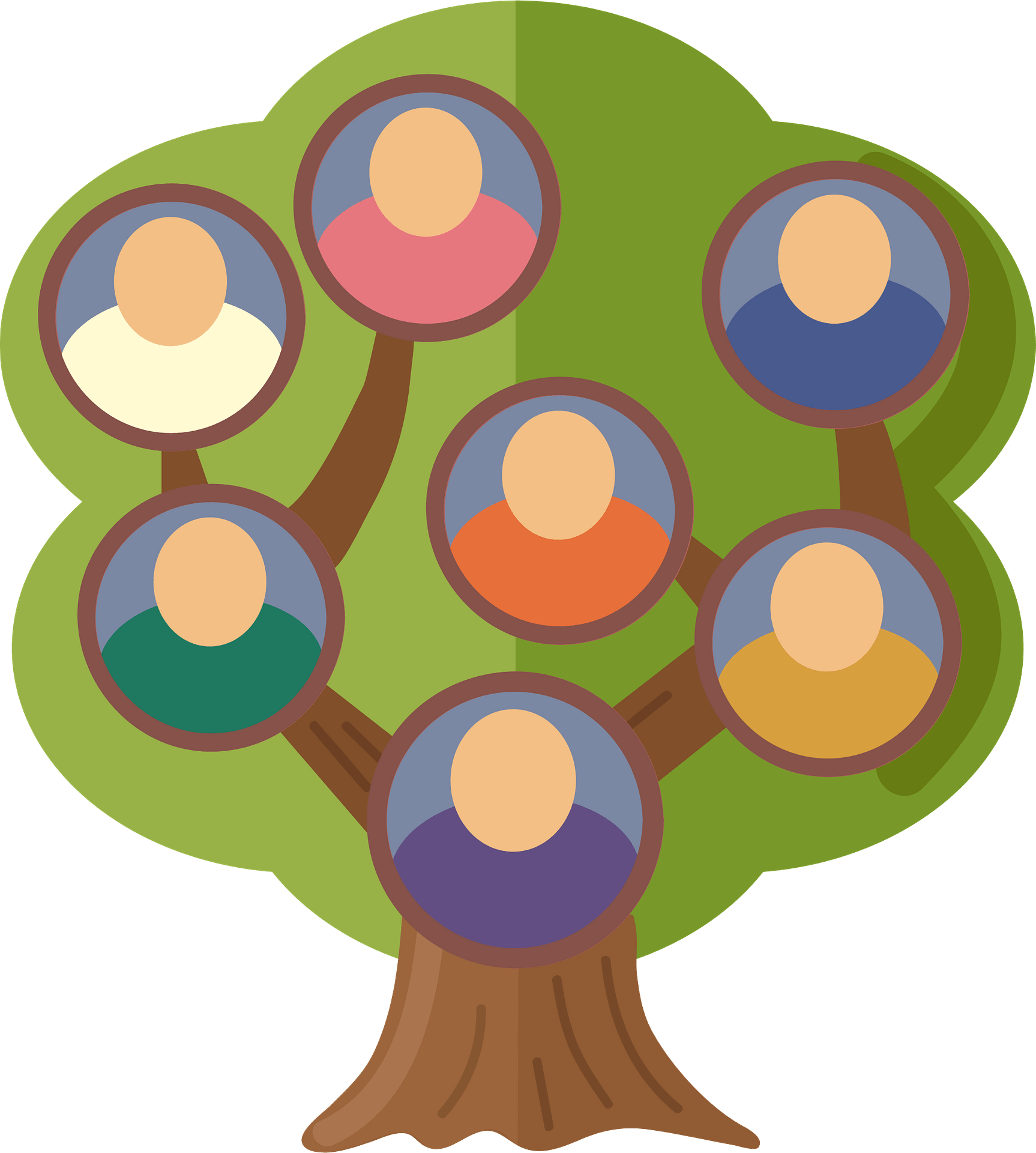 Family Tree PNG Photo