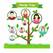Family Tree PNG Photos