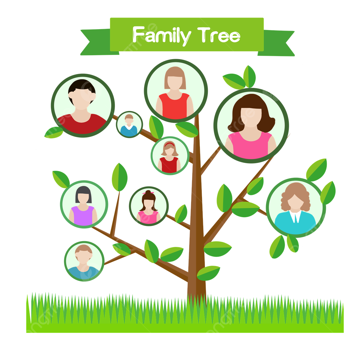 Family Tree PNG Photos
