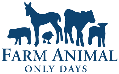 Farm Animals PNG File