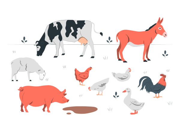 Farm Animals Transparent