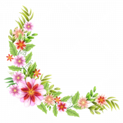 Floral Design Background PNG