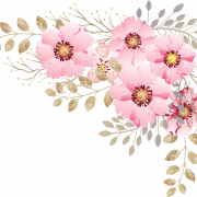 Floral Design PNG Image File