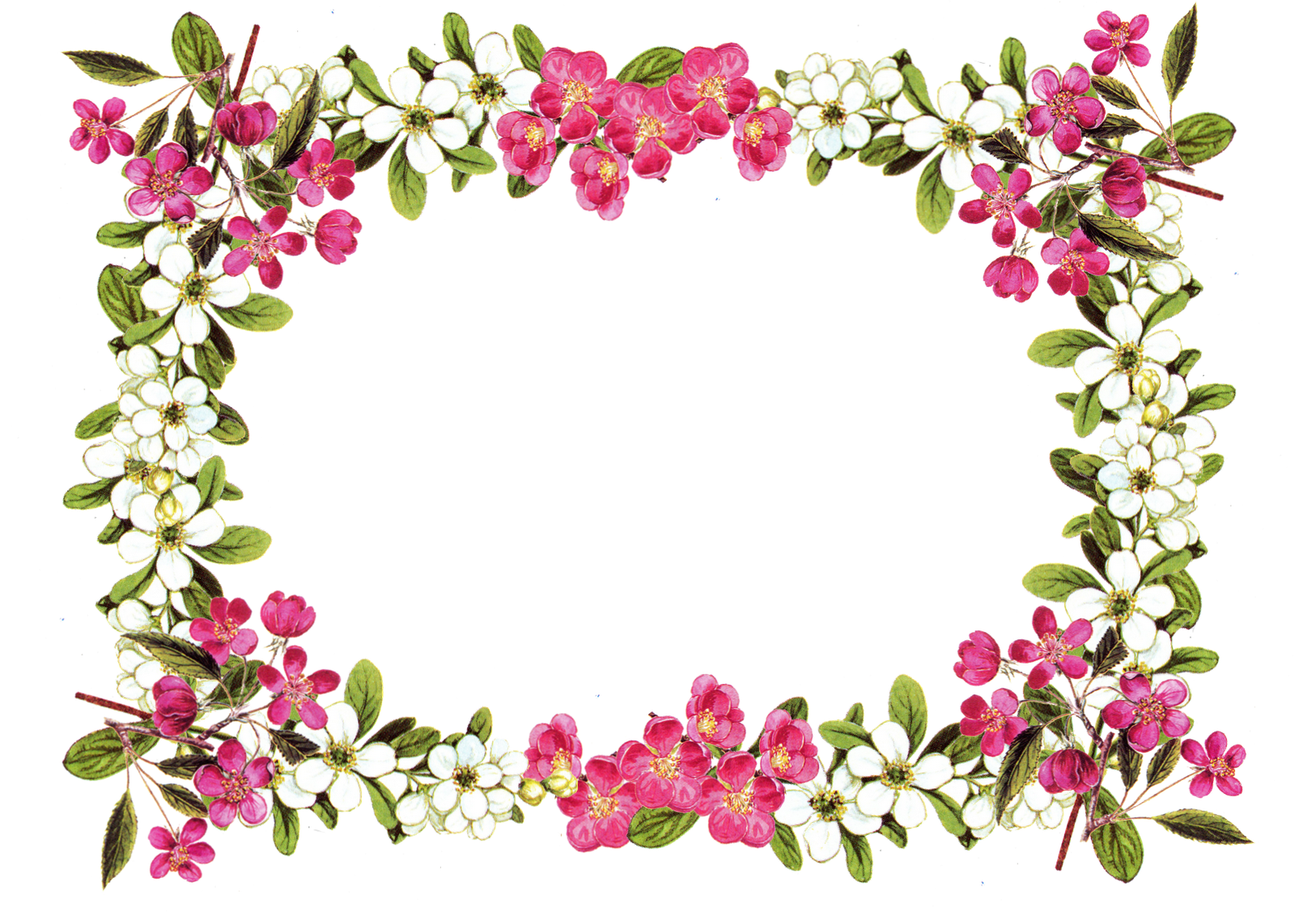Floral Design PNG Picture