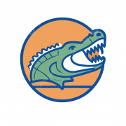 Florida Gators Logo No Background