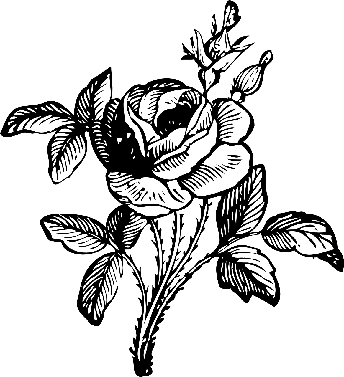 Download Black and White Flower - Symbol of Natural Beauty PNG