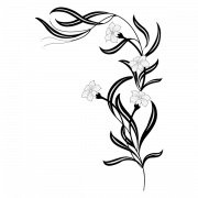 Flower Black And White PNG Photos
