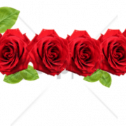 Flower Crown Background PNG