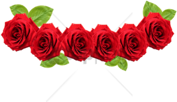 Flower Crown Background PNG