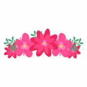 Flower Crown PNG Images