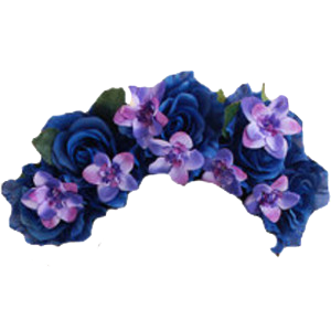 Flower Crown PNG Photo