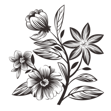 Flower Drawing PNG Cutout