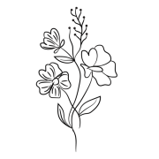 Flower Drawing PNG File
