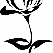 Flower Drawing PNG Image File