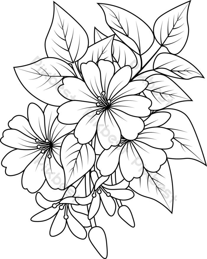 Flower Drawing PNG Image HD