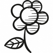 Flower Drawing PNG Picture